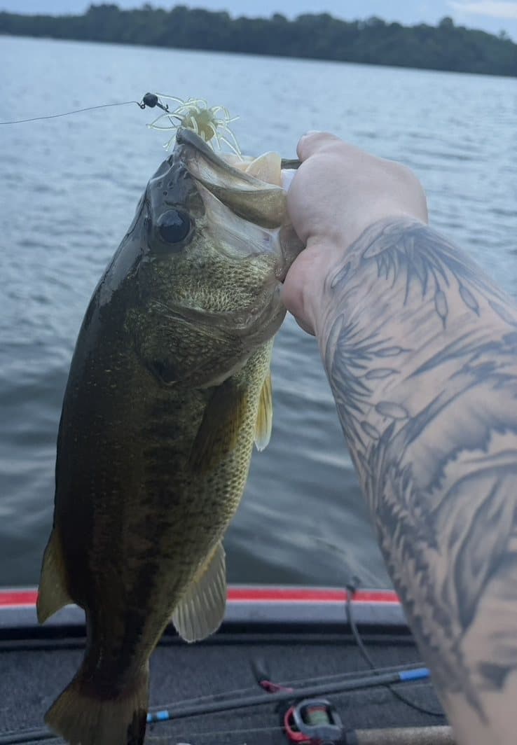 Fish caught on a Chapman Custom Baits lure held over lake water