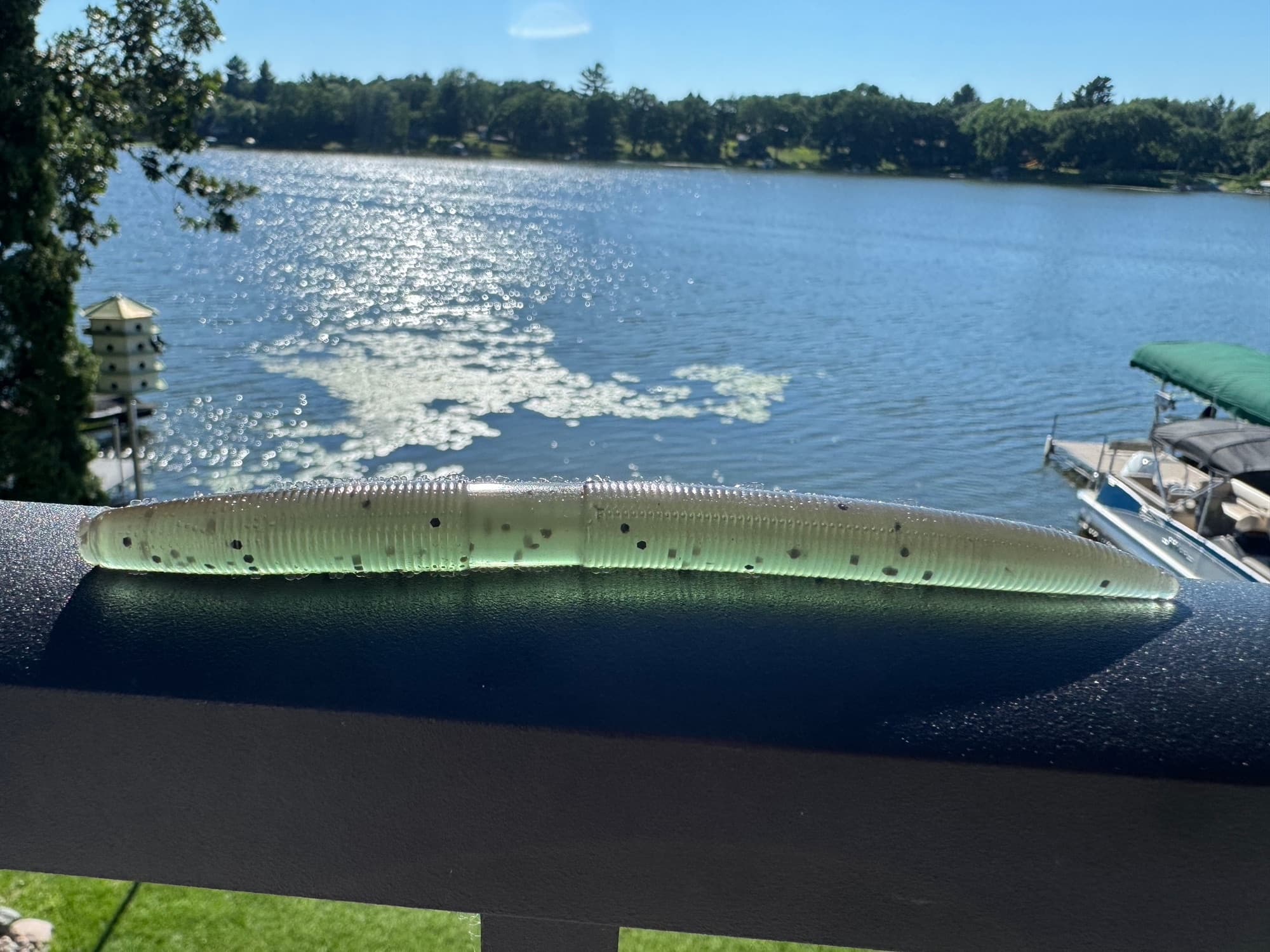 Chapman Stick Worm