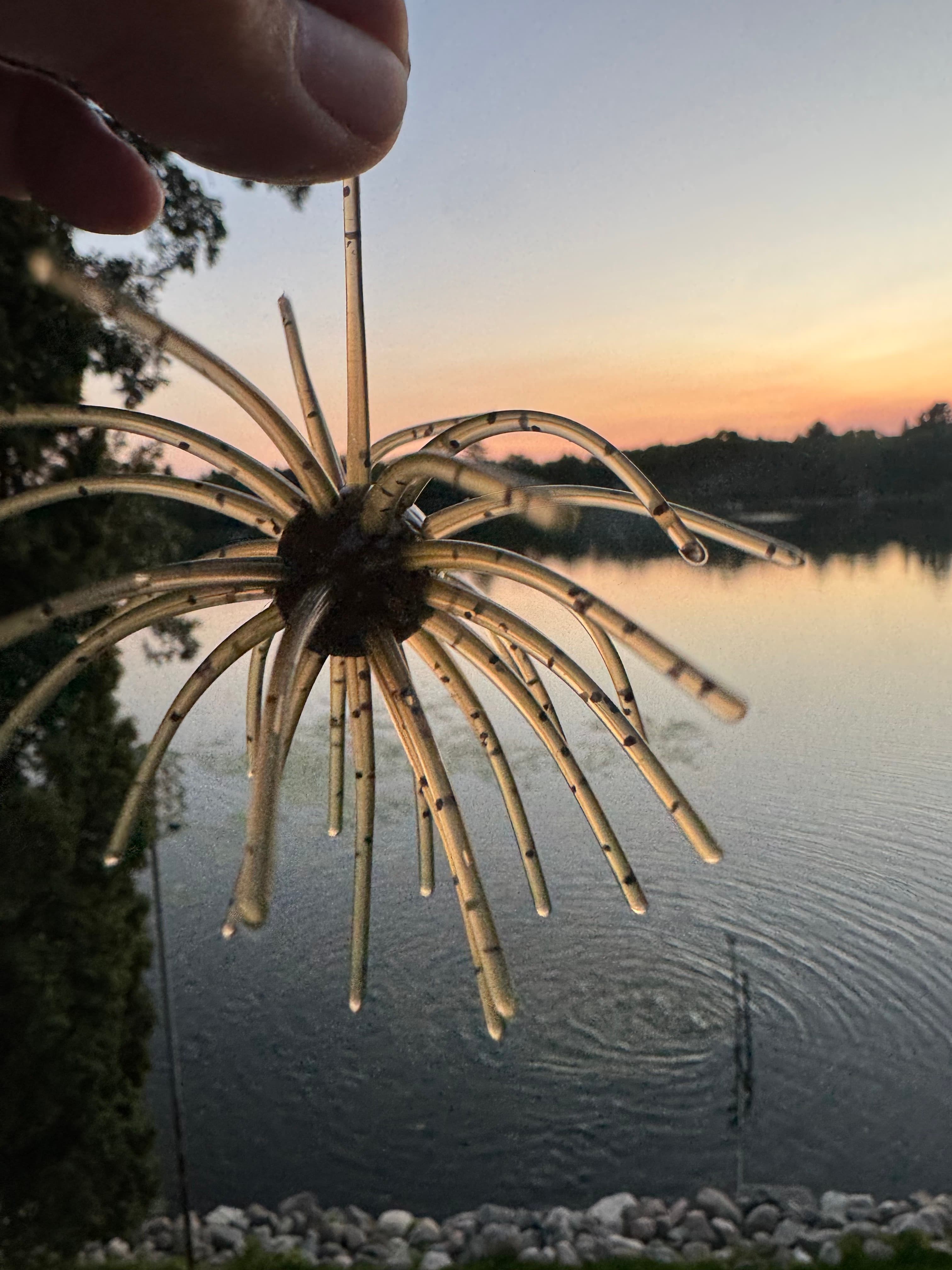 4-Inch Chapman Urchin