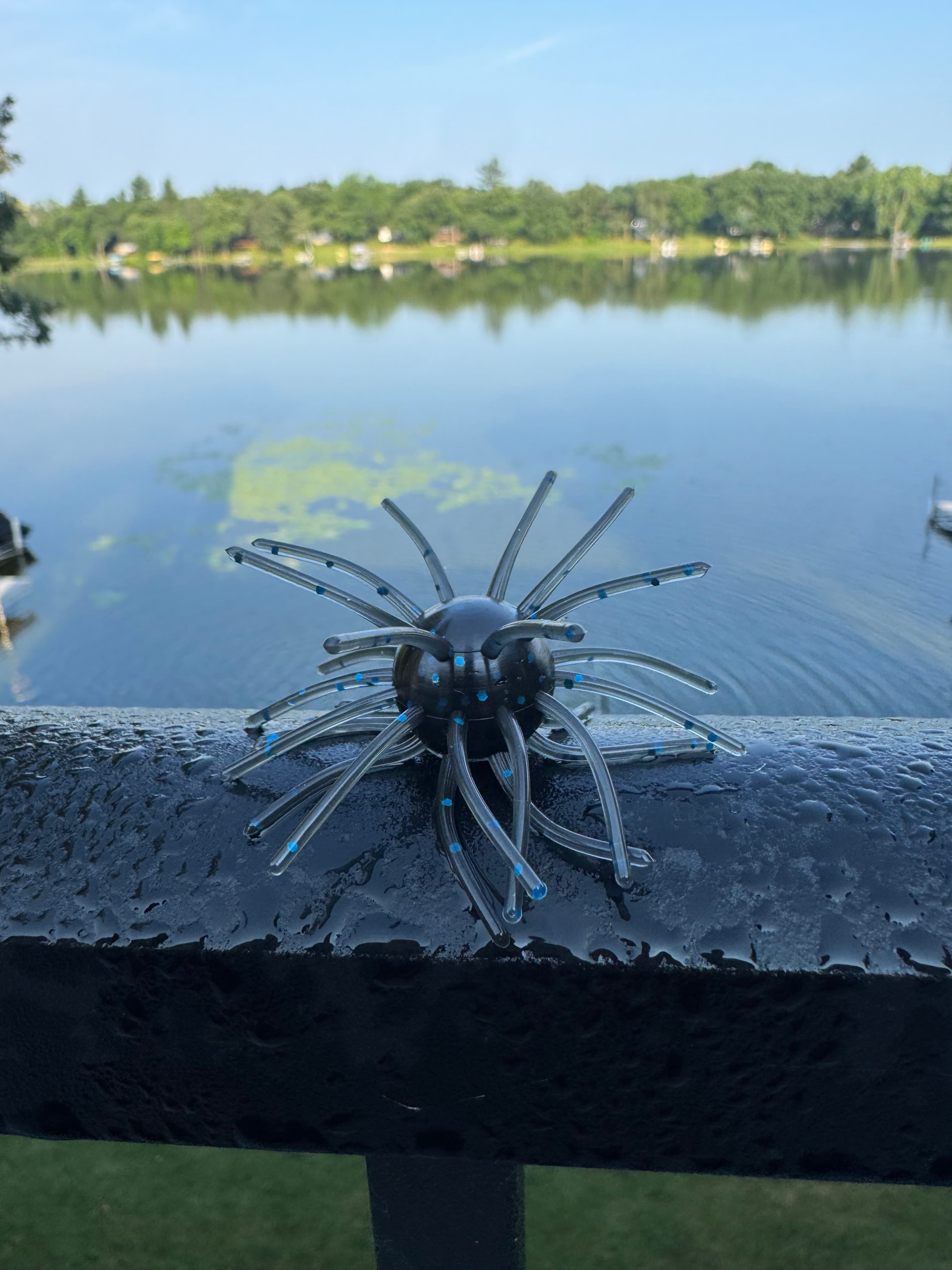 Chapman Urchin in Black Blue