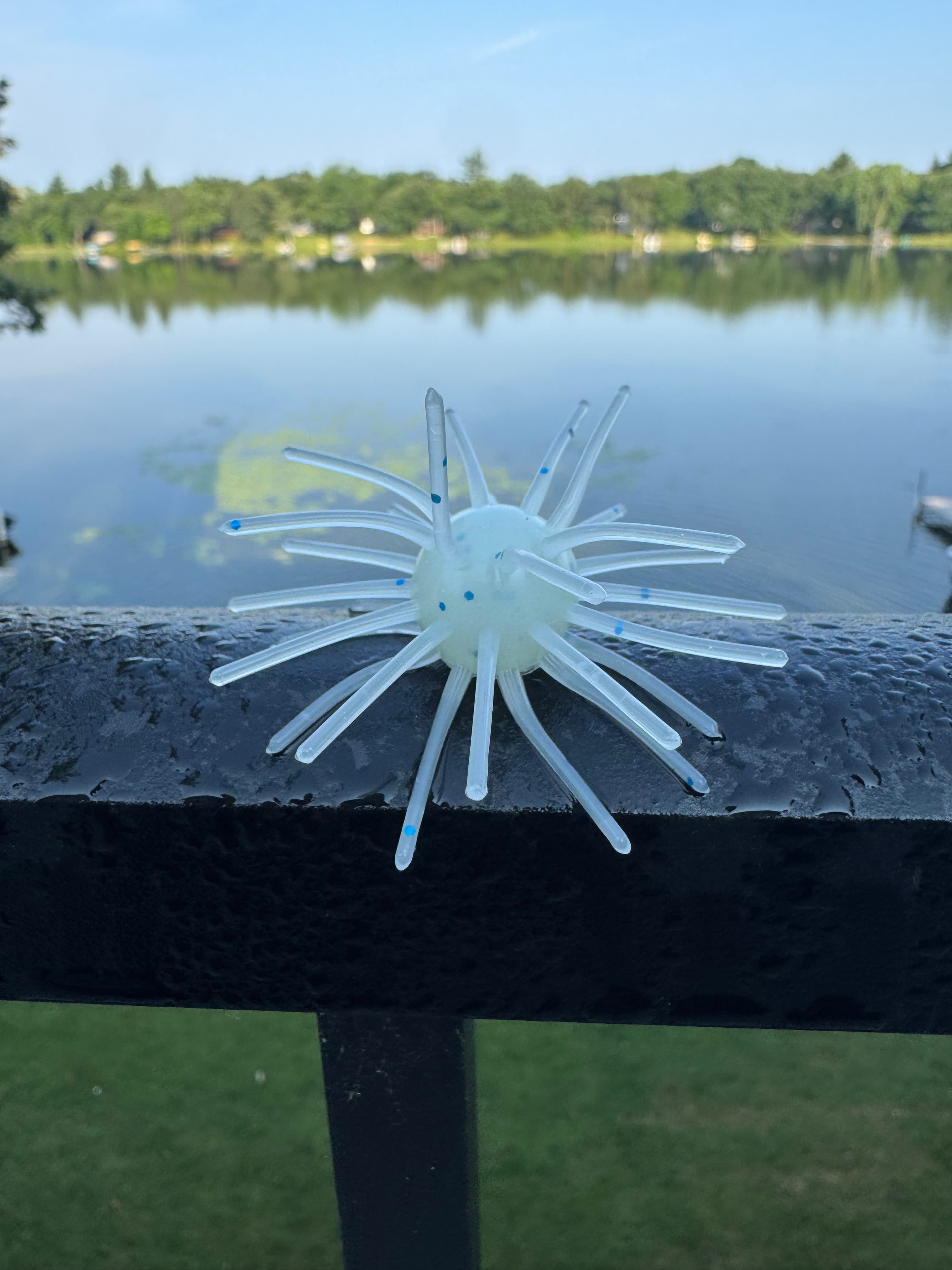 Chapman Urchin - White