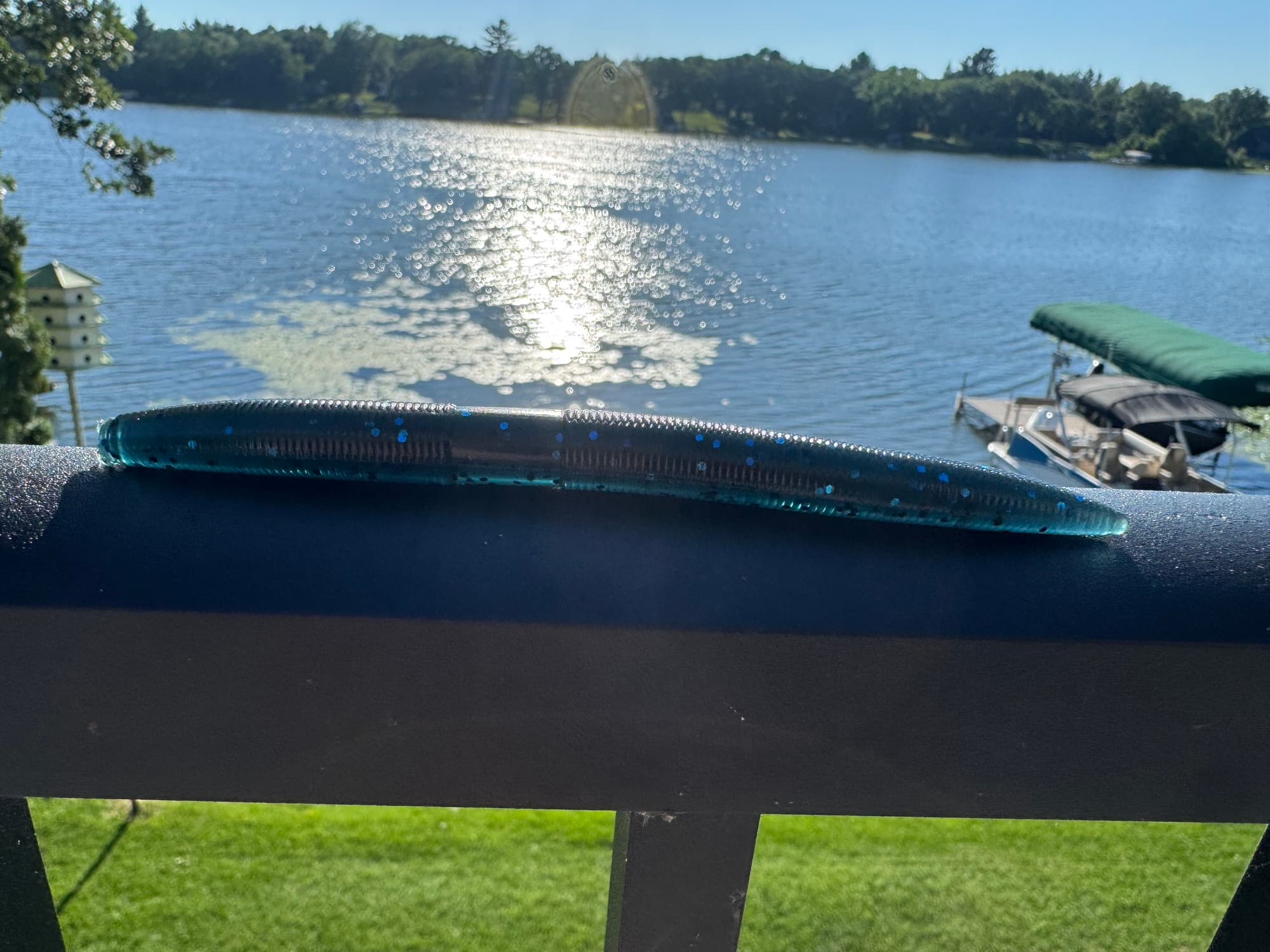 Chapman Stick Worm in Black Blue